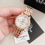 Coach Delancey Mother of Pearl White Dial Rose Gold Steel Strap Watch for Women - 14502479 Authentic Buy Shop Now