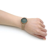 Daniel Wellington Petite Emerald Green Dial Gold Mesh Strap Watch For Women - DW00100479 Authentic Buy Shop Now
