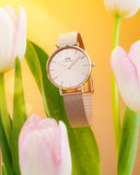 Daniel Wellington Petite Rose Gold Dial Rose Gold Mesh Bracelet Watch For Women - DW00100471 Authentic Buy Shop Now