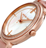 Michael Kors Cinthia Mother of Pearl Rose Gold Dial Rose Gold Steel Strap Watch for Women - MK3643 Authentic Buy Shop Now