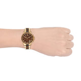 Michael Kors Everest Chronograph Brown Dial Two Tone Steel Strap Watch For Women - MK6973 Authentic Buy Shop Now