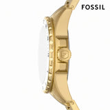Fossil Blue Dive Three Hand White Dial Gold Steel Strap Watch For Women - ES5350 Authentic Buy Shop Now