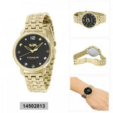 Coach Delancey Black Dial Gold Steel Strap Watch for Women - 14502813 Authentic Buy Shop Now