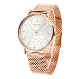 Coach Perry Silver Dial Rose Gold Mesh Bracelet Watch for Women - 14503386 Authentic Buy Shop Now