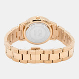 Daniel Wellington Iconic Link Black Dial Rose Gold Steel Strap Watch For Men - DW00100344 Authentic Buy Shop Now