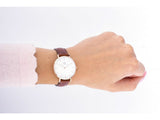 Daniel Wellington Petite St Mawes White Dial Brown Leather Strap Watch For Women - DW00100175 Authentic Buy Shop Now