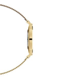 Daniel Wellington Classic Petite Evergold White Dial Gold Mesh Bracelet Watch For Women - DW00100346 Authentic Buy Shop Now