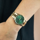 Daniel Wellington Iconic Link Emerald Green Dial Rose Gold Steel Strap Watch For Women - DW00100419 Authentic Buy Shop Now