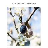 Daniel Wellington Classic Petite Melrose Black Dial Rose Gold Mesh Bracelet Watch For Women - DW00100217 Authentic Buy Shop Now