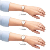 Daniel Wellington Classic Petite Evergold White Dial Gold Mesh Bracelet Watch For Women - DW00100346 Authentic Buy Shop Now