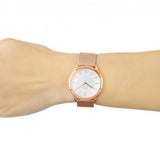 Calvin Klein Minimal White Dial Rose Gold Mesh Bracelet Watch for Women - K3M23626 Authentic Buy Shop Now