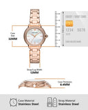 Emporio Armani Three Hand Quartz Mother of Pearl Dial Two Tone Steel Strap Watch For Women - AR11569 Authentic Buy Shop Now