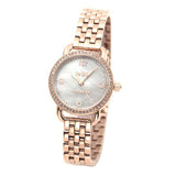 Coach Delancey Mother of Pearl White Dial Rose Gold Steel Strap Watch for Women - 14502479 Authentic Buy Shop Now
