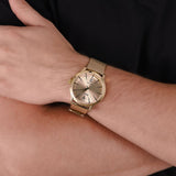 Maserati Epoca Golden Dial Golden Mesh Bracelet Watch For Men - R8853118003 Authentic Buy Shop Now