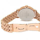 Coach Delancey White Dial Rose Gold Steel Strap Watch for Women - 14502262 Authentic Buy Shop Now