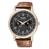 Citizen Eco Drive Multi Function Day & Date Black Dial Brown Leather Strap Watch For Men - AO9003-08E Authentic Buy Shop Now