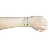 Hugo Boss Flawless Silver Dial Two Tone Steel Strap Watch for Women - 1502550 Authentic Buy Shop Now