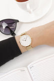 Daniel Wellington Classic Petite White Dial Gold Mesh Bracelet Watch For Women - DW00100348 Authentic Buy Shop Now