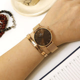 Daniel Wellington Petite Amber Brown Dial Rose Gold Mesh Strap Watch for Women - DW00100478 Authentic Buy Shop Now
