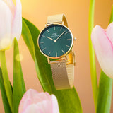 Daniel Wellington Petite Emerald Green Dial Gold Mesh Strap Watch For Women - DW00100480 Authentic Buy Shop Now