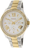 Fossil Cecile White Dial Two Tone Steel Strap Watch for Women - AM4543 Authentic Buy Shop Now