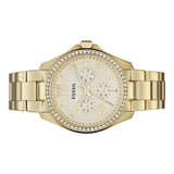 Fossil Cecile Chronograph Gold Dial Gold Steel Strap Watch for Women - AM4482 Authentic Buy Shop Now