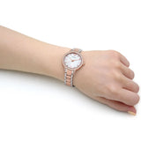 Emporio Armani Cleo Mother of Pearl Dial Two Tone Steel Strap Watch For Women - AR11499 Authentic Buy Shop Now