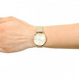 Emporio Armani Retro Gold Dial Gold Mesh Bracelet Watch For Women - AR1957 Authentic Buy Shop Now