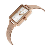Armani Exchange Lola Quartz Silver Dial Rose Gold Mesh Strap Watch For Women - AX5802 Authentic Buy Shop Now