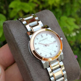Burberry The City Silver Dial Two Tone Steel Strap Watch for Women - BU9214 Authentic Buy Shop Now