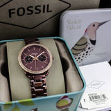 Fossil Tailor Analog Brown Dial Brown Steel Strap Watch for Women - ES4258 Authentic Buy Shop Now