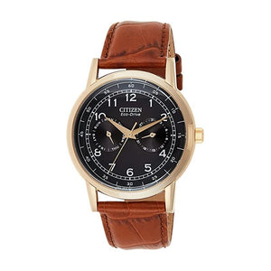 Citizen Eco Drive Multi Function Day & Date Black Dial Brown Leather Strap Watch For Men - AO9003-08E Authentic Buy Shop Now