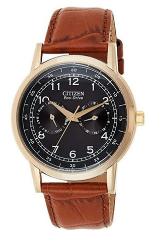 Citizen Eco Drive Multi Function Day & Date Black Dial Brown Leather Strap Watch For Men - AO9003-08E Authentic Buy Shop Now