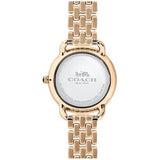 Coach Delancey White Dial Rose Gold Steel Strap Watch for Women - 14502783 Authentic Buy Shop Now