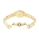 Calvin Klein Simplicity White Dial Gold Steel Strap Watch for Women - K4323212 Authentic Buy Shop Now
