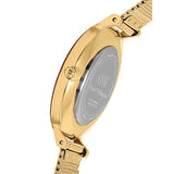 Daniel Wellington Classic Petite Black Dial Gold Mesh Bracelet Watch For Women - DW00100347 Authentic Buy Shop Now