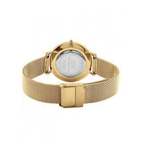 Daniel Wellington Classic Petite Black Dial Gold Mesh Bracelet Watch For Women - DW00100347 Authentic Buy Shop Now