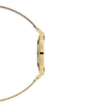 Daniel Wellington Classic Petite Evergold Black Dial Gold Mesh Bracelet Watch For Women - DW00100349 Authentic Buy Shop Now