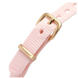 Daniel Wellington Quadro Pressed Mother of Pearl Pink Dial Pink Nylon Strap Watch For Women - DW00100509 Authentic Buy Shop Now