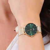 Daniel Wellington Petite Emerald Green Dial Gold Mesh Strap Watch For Women - DW00100480 Authentic Buy Shop Now