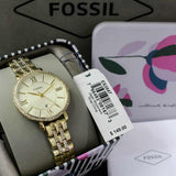 Fossil Jacqueline Gold Dial Gold Steel Strap Watch for Women - ES3547 Authentic Buy Shop Now