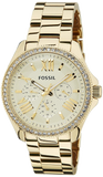 Fossil Cecile Chronograph Gold Dial Gold Steel Strap Watch for Women - AM4482 Authentic Buy Shop Now