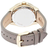Fossil Cecile Champagne Dial Grey Leather Strap Watch for Women - AM4529 Authentic Buy Shop Now