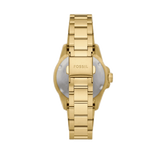 Fossil Blue Dive Three Hand White Dial Gold Steel Strap Watch For Women - ES5350 Authentic Buy Shop Now