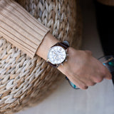 Hugo Boss Ambassador Chronograph Silver Dial Brown Leather Strap Watch For Men - HB1513195 Authentic Buy Shop Now