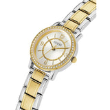 Fossil Virginia Silver Dial Two Tone Steel Strap Watch for Women - ES3503 Authentic Buy Shop Now