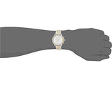 Hugo Boss Companion Silver Dial Two Tone Mesh Bracelet Watch for Men - 1513654 Authentic Buy Shop Now