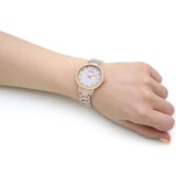 Emporio Armani Cleo Three Hand Mother of Pearl Dial Two Tone Steel Strap Watch for Women - AR11513 Authentic Buy Shop Now
