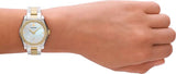 Emporio Armani Federica Mother of Pearl Dial Two Tone Steel Strap Watch for Women - AR11559 Authentic Buy Shop Now