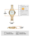 Emporio Armani Cleo Three Hand Mother of Pearl Dial Two Tone Steel Strap Watch for Women - AR11513 Authentic Buy Shop Now